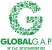 logo-ggap